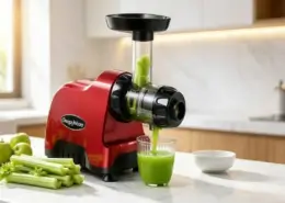 l-glutamine leaky gut omega horizontal masticating juicer celery juice Omega horizontal slow masticating juicer for Medical Medium celery juice lifestyle